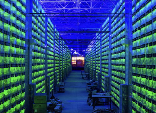 Immersion cooling system in a cryptocurrency mining farm