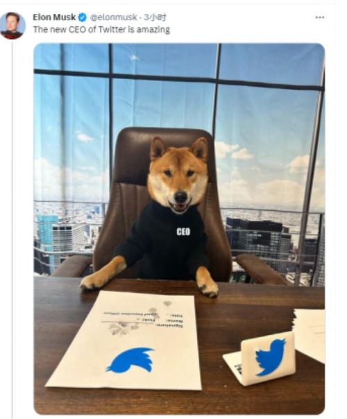 Dogecoin illustration emphasizing its growth