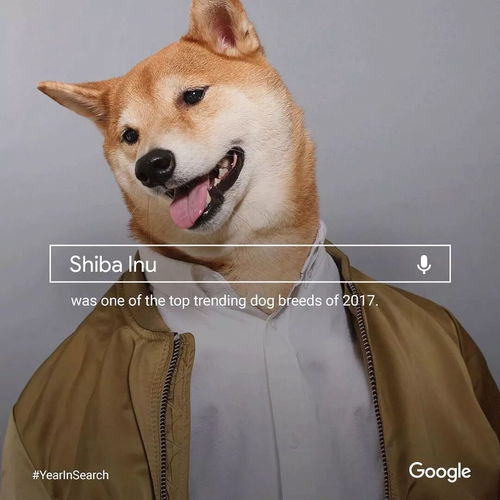Dogecoin mining operations